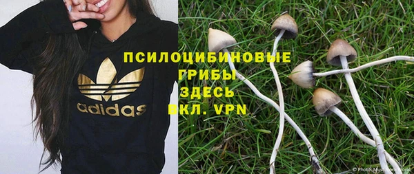 метадон Михайловск