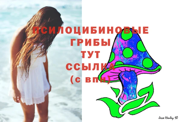 метадон Михайловск
