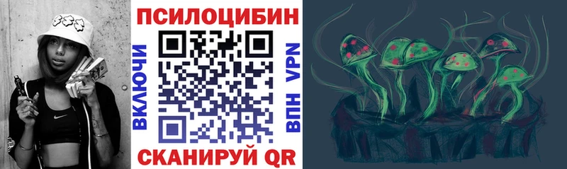 купить   Фролово  blacksprut ссылки  Псилоцибиновые грибы мицелий 