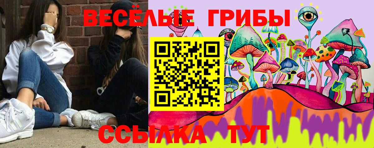 Фролово  Галлюциногенные грибы ЛСД  Вход с VPN 