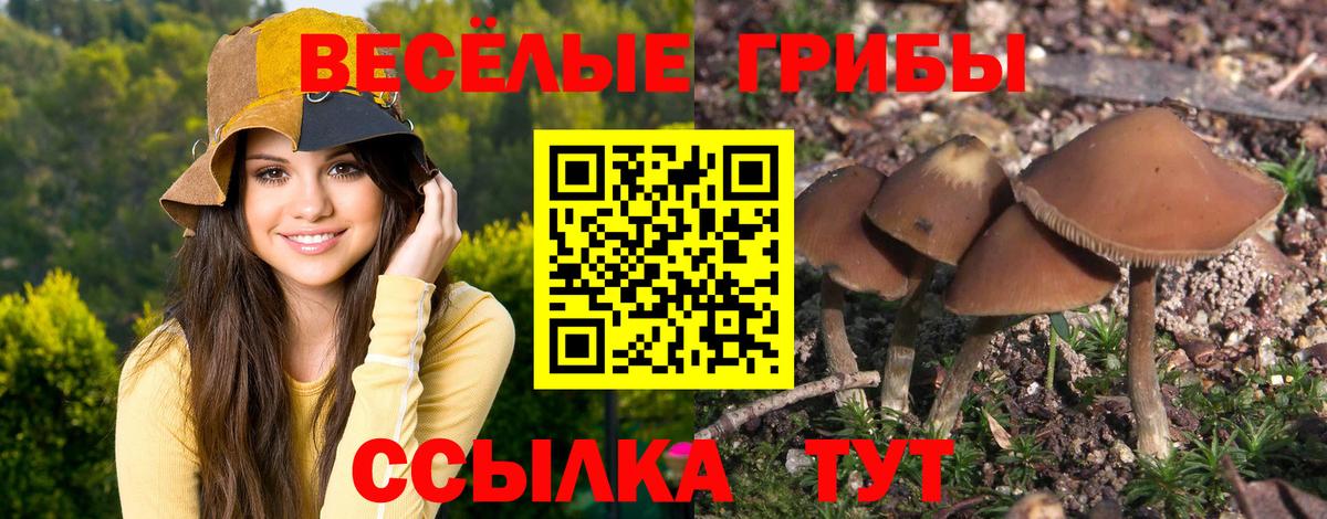 КОКАИН  MDMA  А ПВП СК кристаллы  Где купить наркотики?  Меф МЯУ МЯУ кристаллы  ГАШ  МАРИХУАНА  ГАШ  Фролово  Вход с VPN 